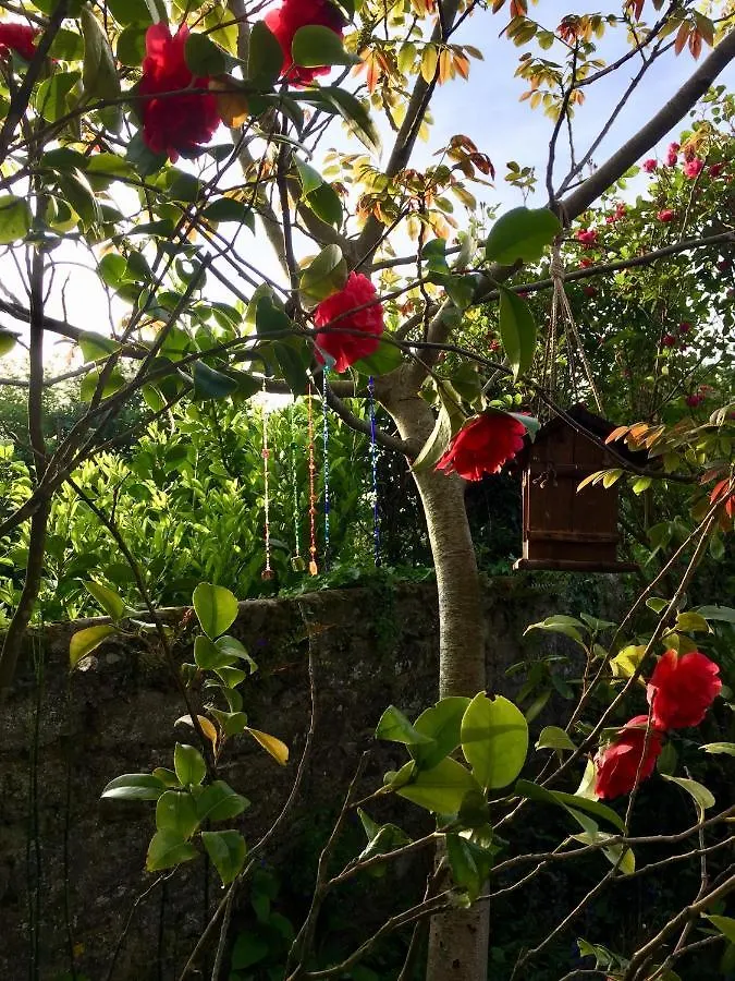 Chambre D'Hote Keriden Pleudihen-sur-Rance